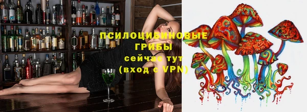 бошки Вязники