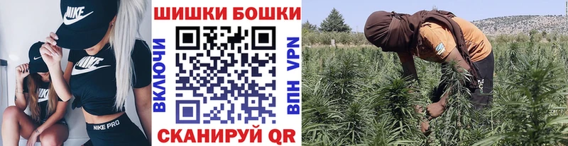 Бошки Шишки семена Заринск